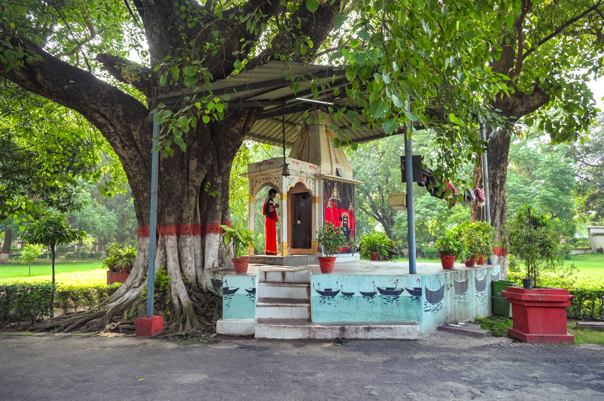 विरासत!

क्या आप जानते हैं कि ये तस्वीर काशी हिन्दू विश्वविद्यालय में किस स्थान पर ली गई है? 

Share your responses in comments. 

#BHU #BanarasHinduUniversity