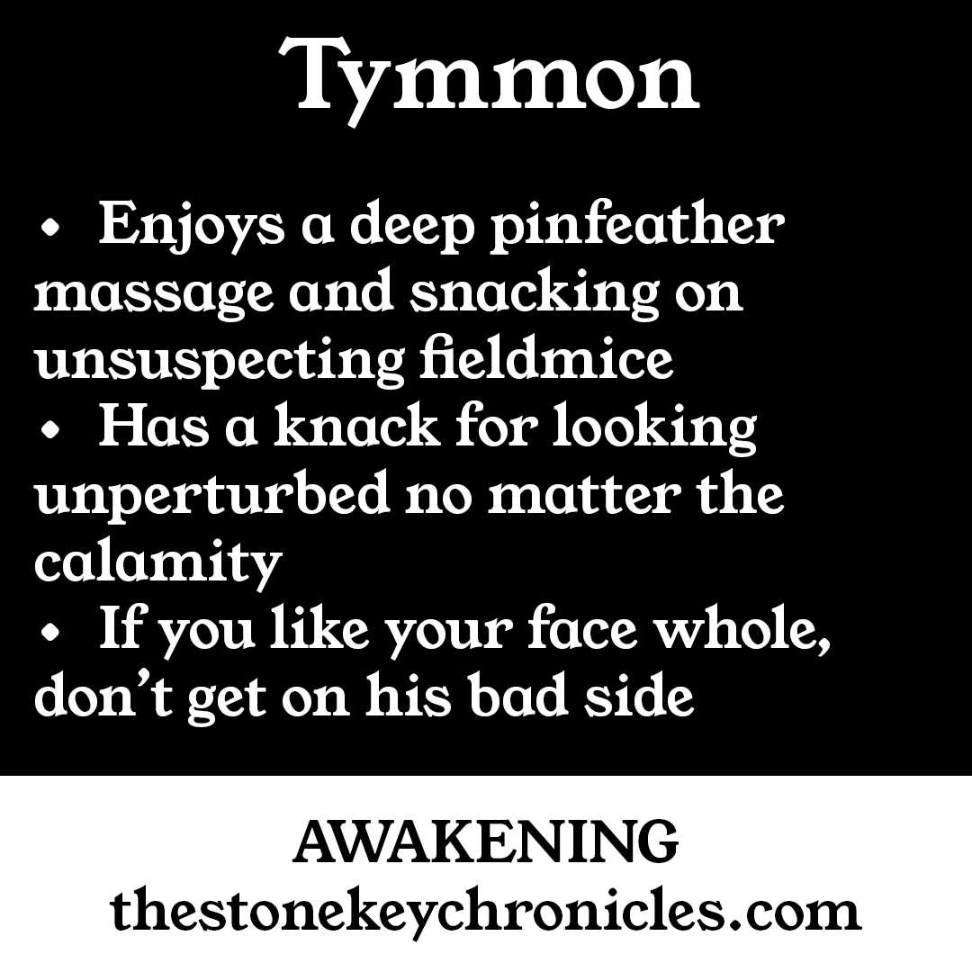 StoneKeySeries's tweet image. Happy #tskctuesday Tymmon is adorable (don’t tell him that), fierce, and a Moorland Hawk you want fighting on your side! Ty wraps up the character reveals, up next: quotes and world reveals! #tskc #tskcawakening #awakening #epicfantasy #epicfantasyseries #epicfantasynovel