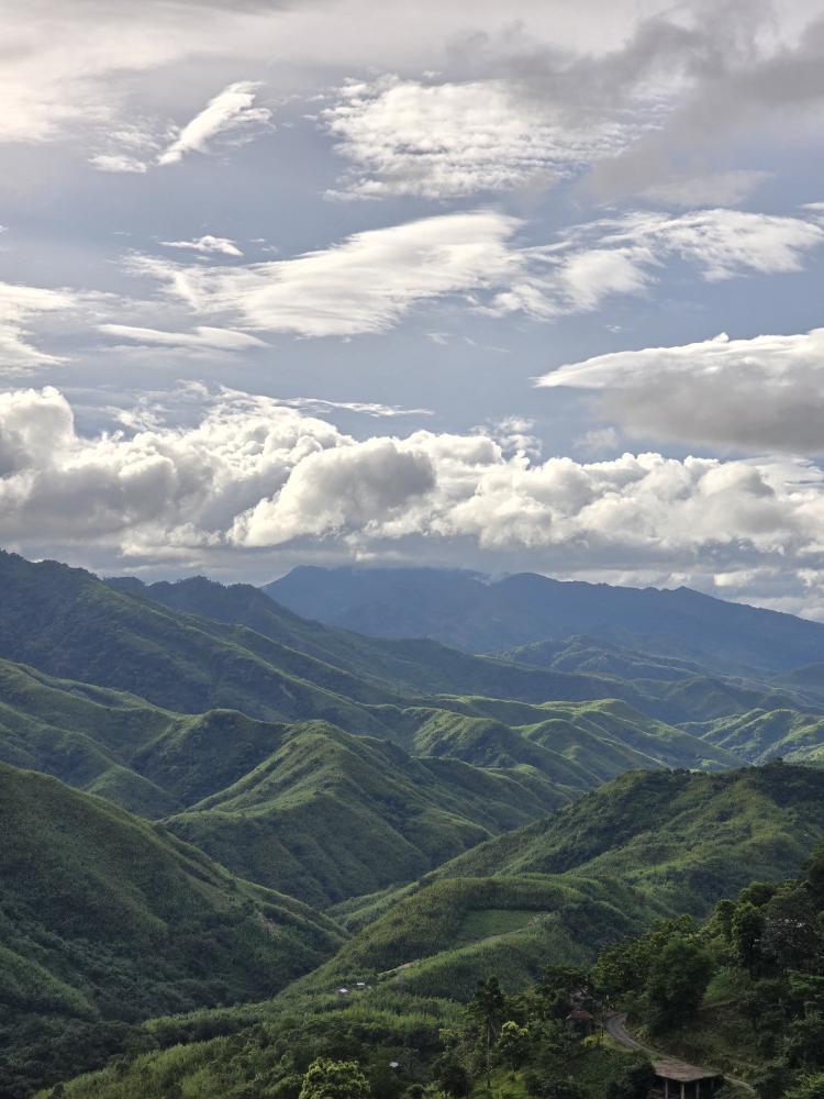 mizoraminsta's tweet photo. The continuous mountain ranges and the distant clouds during the monsoon season in Mizoram beautifully depict its true natural landscape
Pic credit 📷 sologalivanter_
#mountain #hill #hilly #landscapeview #landscape #highland #cloud #mizoram #mizoraminsta #northeastIndia https://t.co/uheFo4bRre