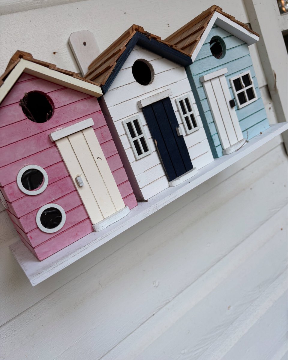 Wow! Just watched a house wren dive bomb a chipmunk on the chair next to me, smacking him in the head! Not once, but twice! The wren couple lives in these little houses, about 8 feet away from the site of the dive bombing. Very protective parents to be?

#wildlife #cottagelife