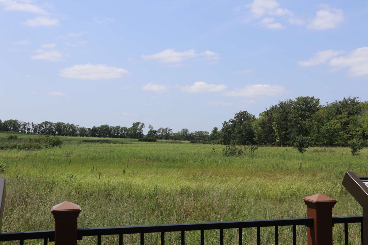 Can you hear the prairie? 🌾

Homestead NHP's Prairie Plaza is a great spot for inspiration and reflection. What will it tell you? Come, listen, and see!

Photos: NPS/Doug Cudaback

#HomesteadNationalHistoricalPark #PrairiePlaza #TallgrassPrairie #FindYourPark #PrairieViews