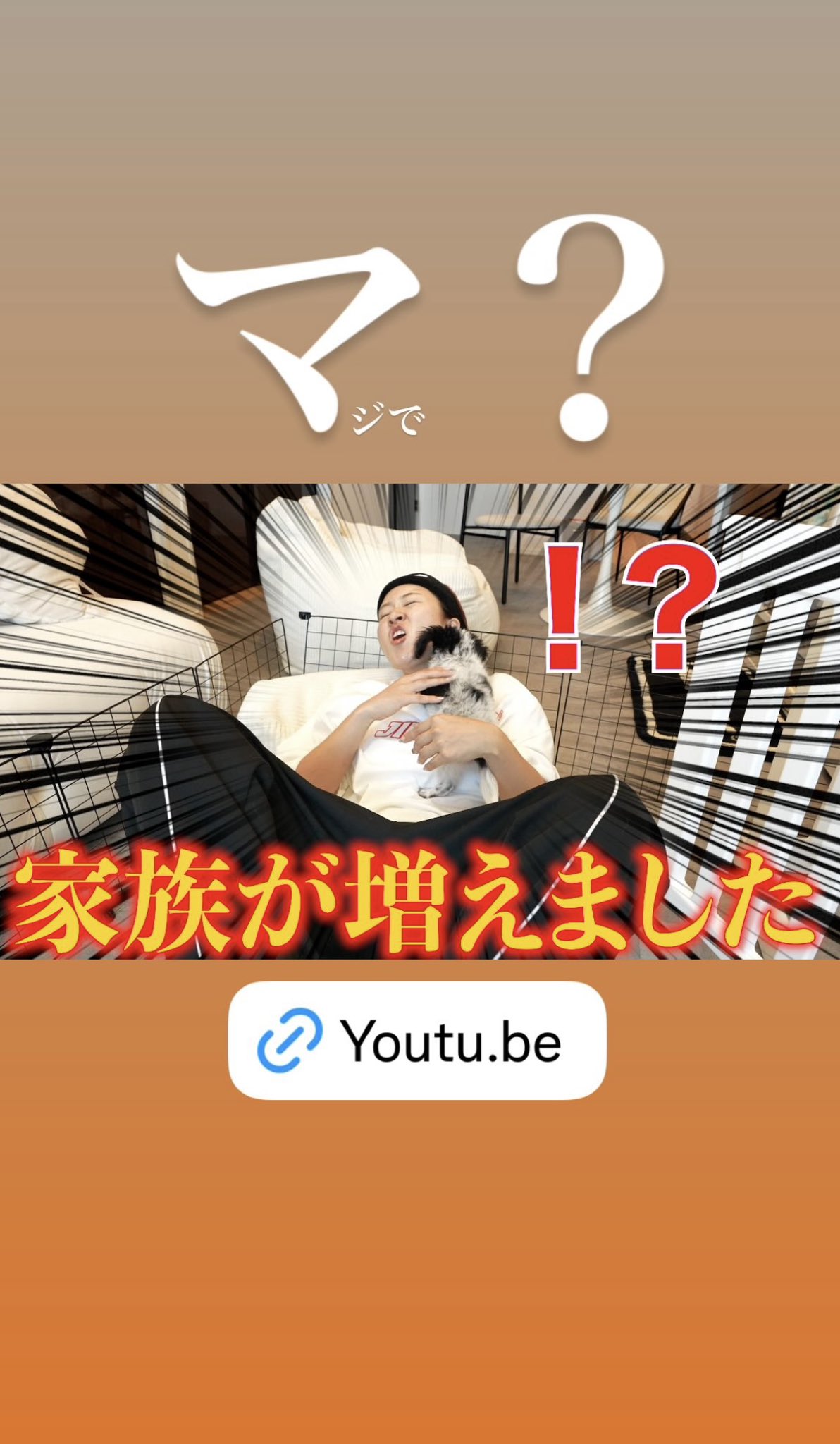 にこちゃんページ 大暴れ】YouTuberの壮絶な1週間に密着したけどほぼ記憶はご