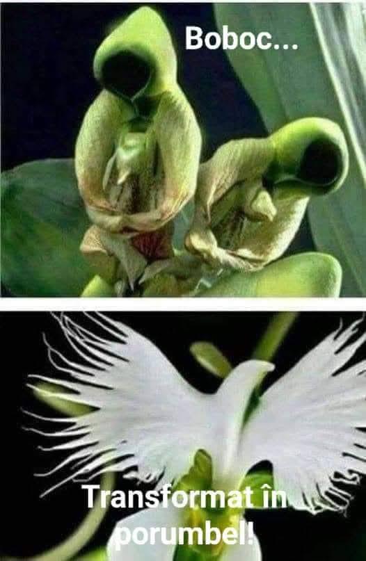 😊😊