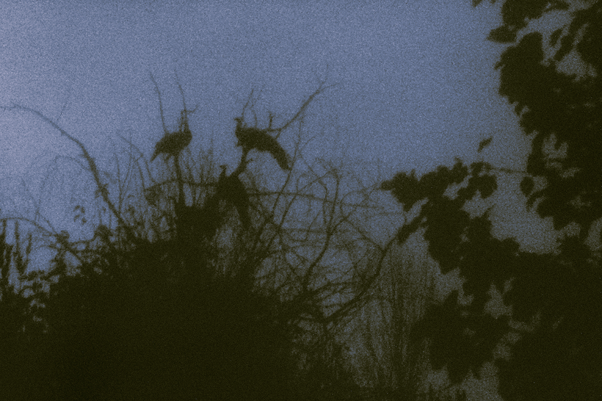 Bárbara Bezina tweet media