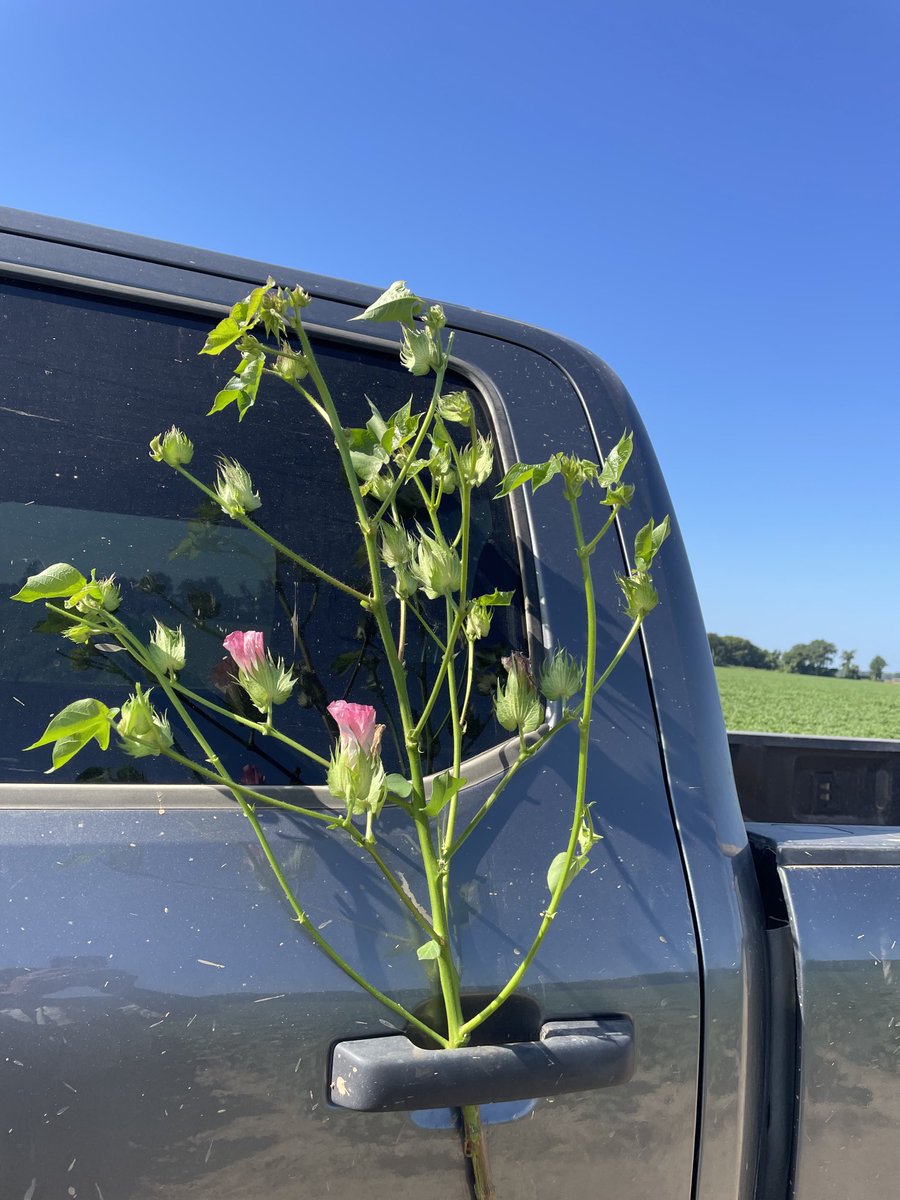 Herbert Miller tweet media