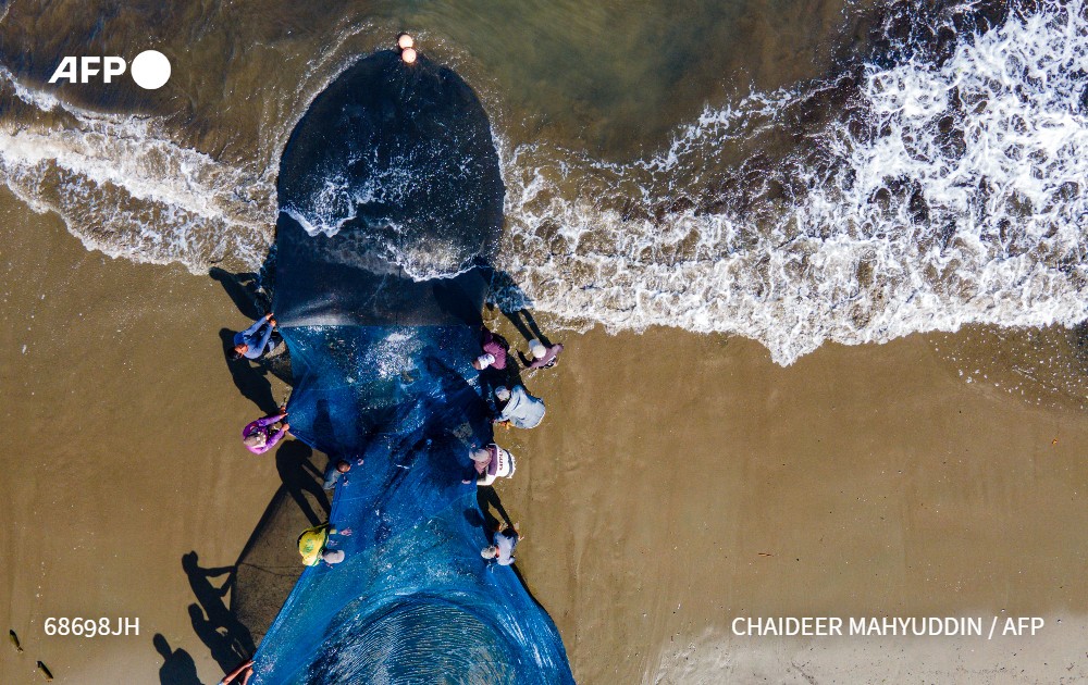 فرانس برس بالعربية tweet media