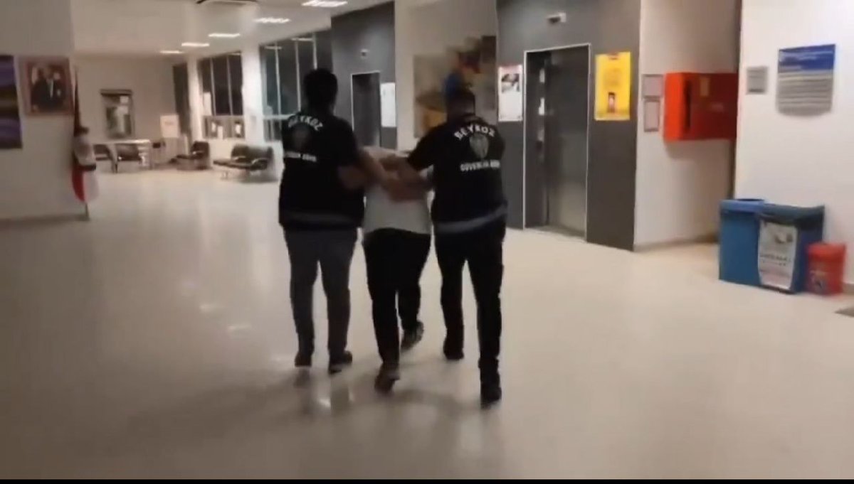 Beykoz'da dün akşam ağaçlık alana işaret fişeği atarak yangın çıkartan şüpheli A.A. çıkarıldığı mahkemece tutuklandı.