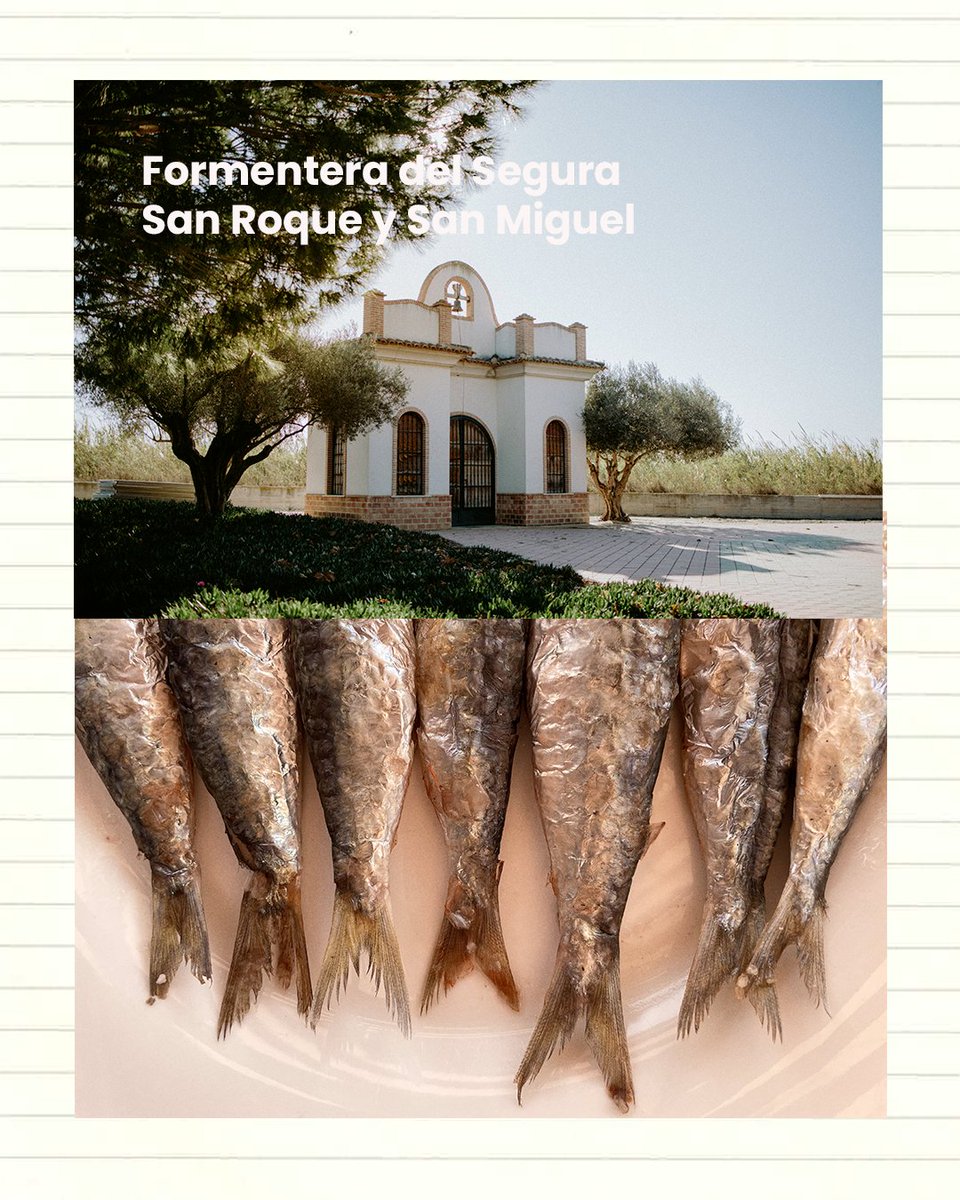 ¿Sabías que #CallosadeSegura, #Bigastro y #FormenteradelSegura se celebran estos días las Fiestas patronales de San Roque y de San Miguel?
📌 Una oportunidad para disfrutar de eventos culturales en un ambiente festivo.