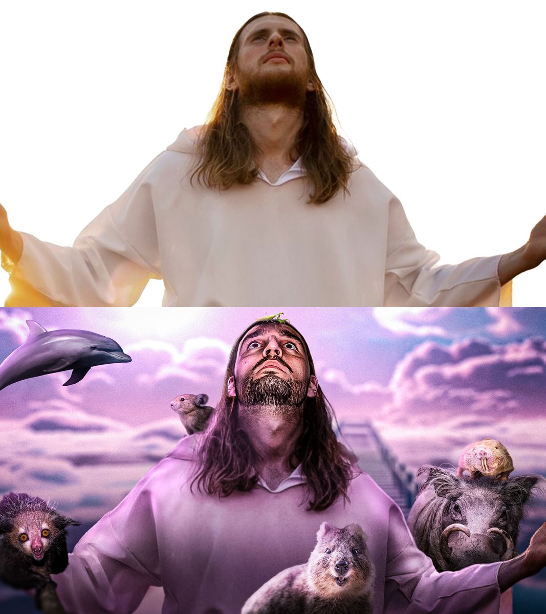 C’est validé ou pas ? ✅❌