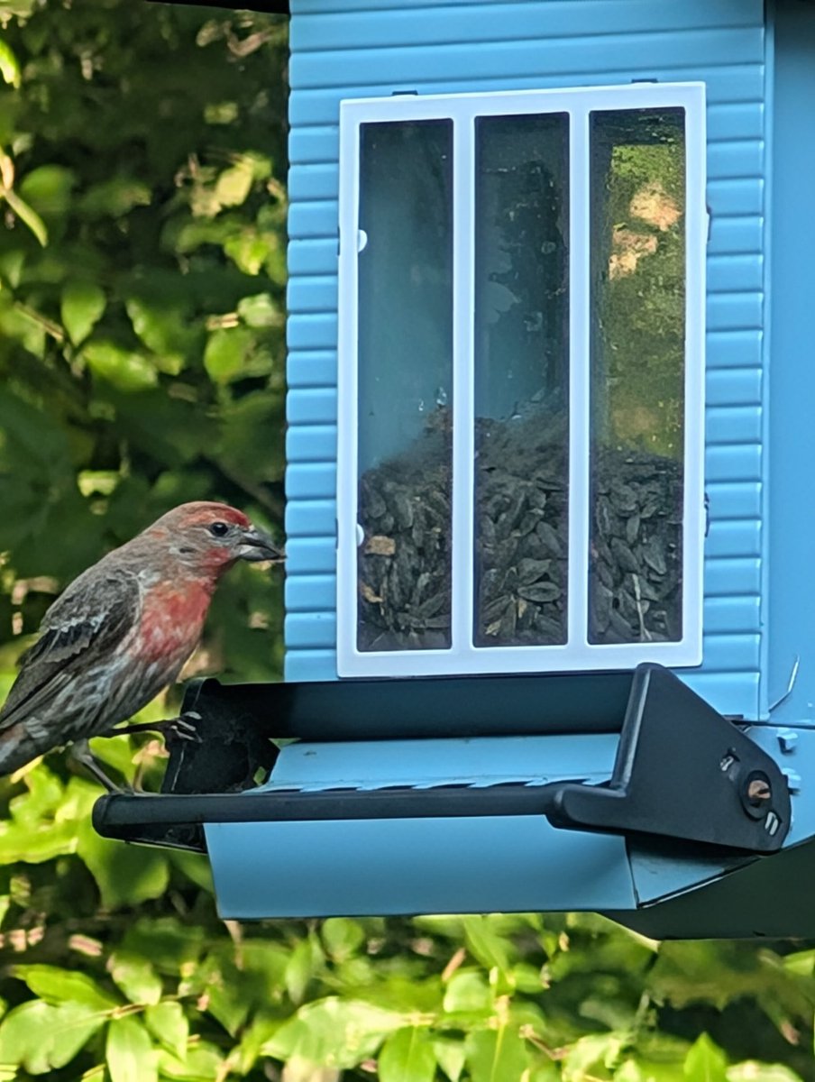 Good morning everyone