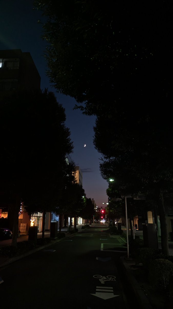 yokan113's tweet photo. https://t.co/6ZO7yS0DkD