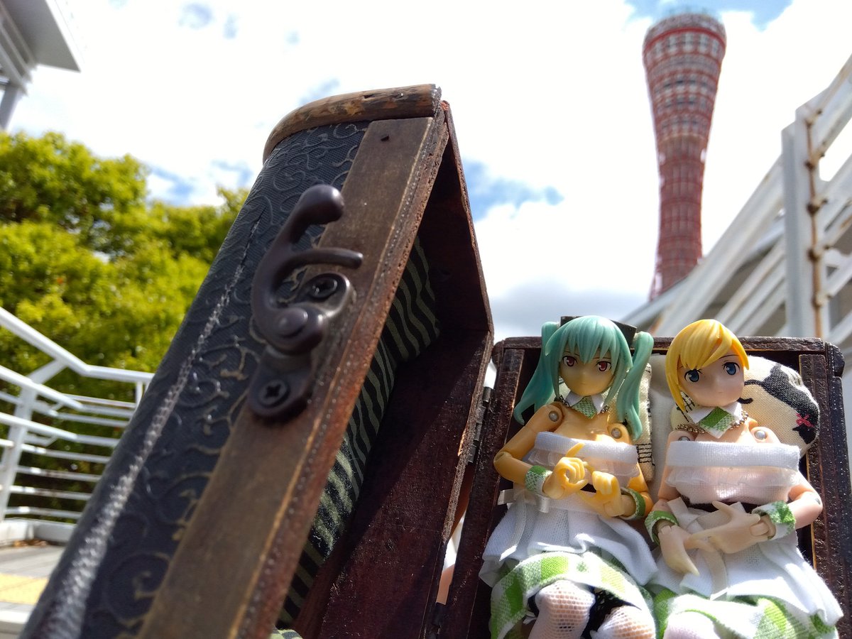 #同じ場所で何枚撮んねん選手権
衣装着替えたら撮りに行く