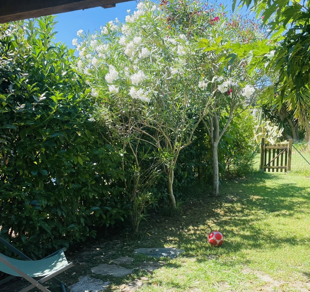 Die Tochter ist in manchen Eigenschaften so wie ich.
Eben langes Streitgespräch, ich unbeugsam, sie unbeugsamer.

Das Ergebnis ist, dass wir jetzt beide nicht am Strand sind. 

(Schlimm ist der Garten allerdings auch nicht)