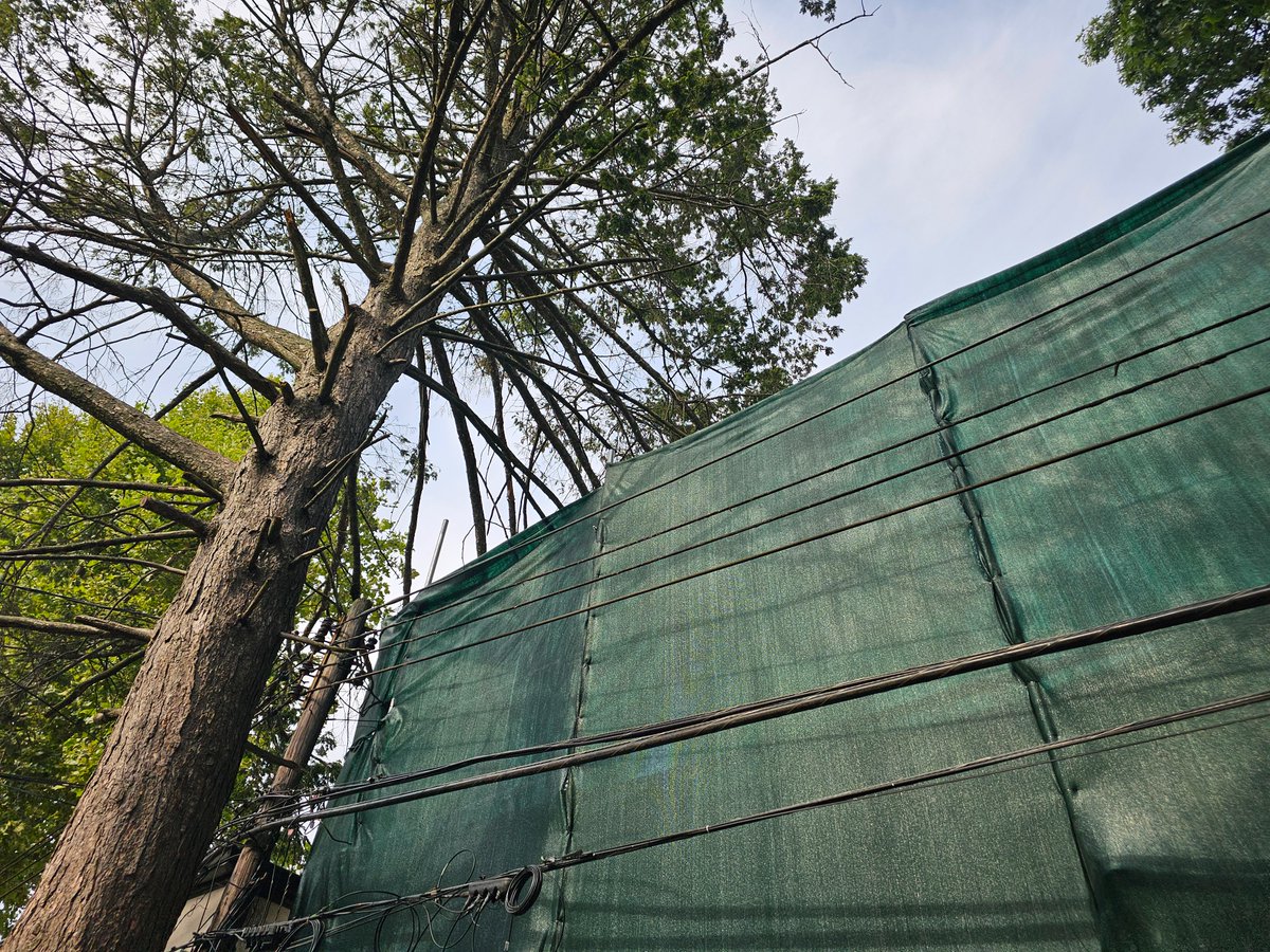 1090 East 17th St. in Brooklyn. DOB issued SWO. Being ignored! High voltage electric line 2" from metal scaffold. Likely flammable 40' green "wall" w/ electric thru it! No permits! Someone could get killed! Please help! <a href="/NYCMayor/">Mayor Zohran Kwame Mamdani</a> <a href="/NYCMayorsOffice/">NYC Mayor's Office</a> <a href="/SimchaFelderNY/">Simcha Felder</a>