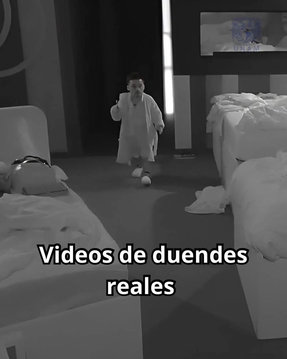 Voz Populi Quintana Roo ❁ tweet media