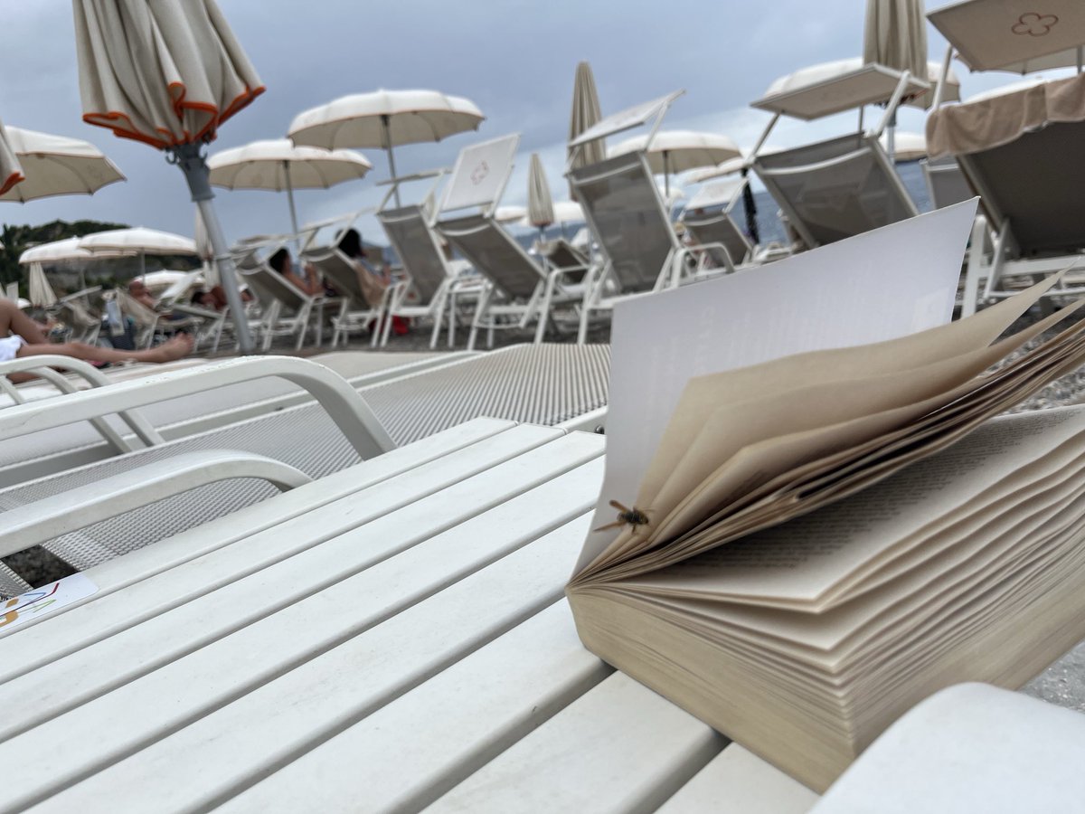 There’s a real sting in this tale. Sorry.