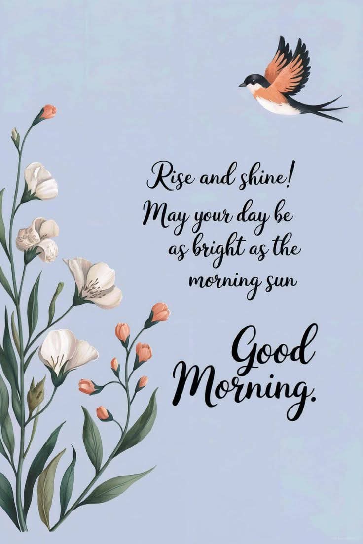 Good morning ☕️ 🙏 Happy Tuesday friends 🧡 Have yourselves a terrific day