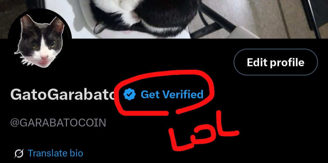 GARABATOCOIN's tweet photo. I am already a verified real cat @elonmusk
How can I log in with meow wallet?

@PufLaunch @worldnetwork https://t.co/yV5Xw52y8u