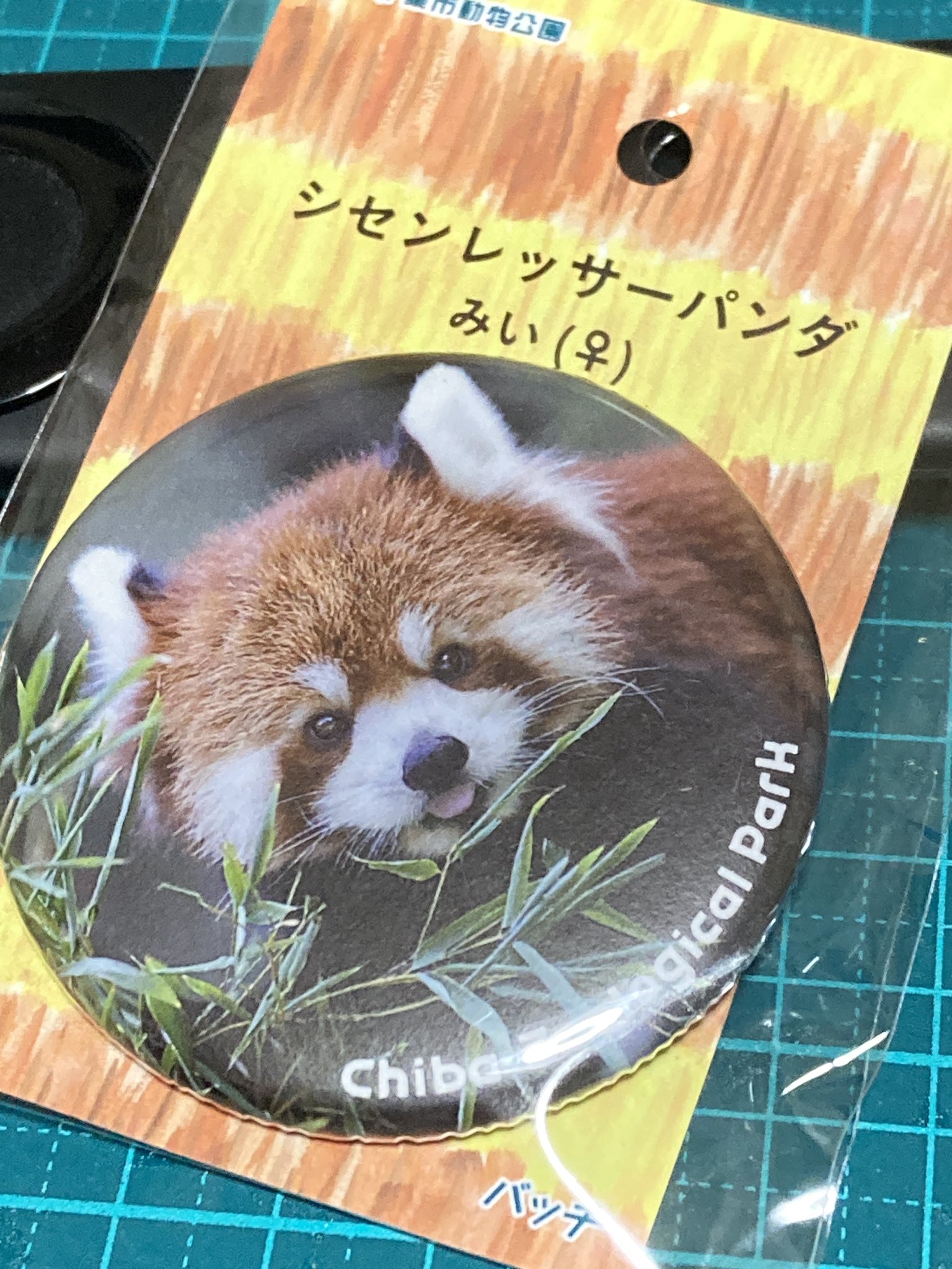 パンダのみっちゃんページ Amazon.co.jp: 毎日パンダの1010日シャンシャン写真集 : 高氏