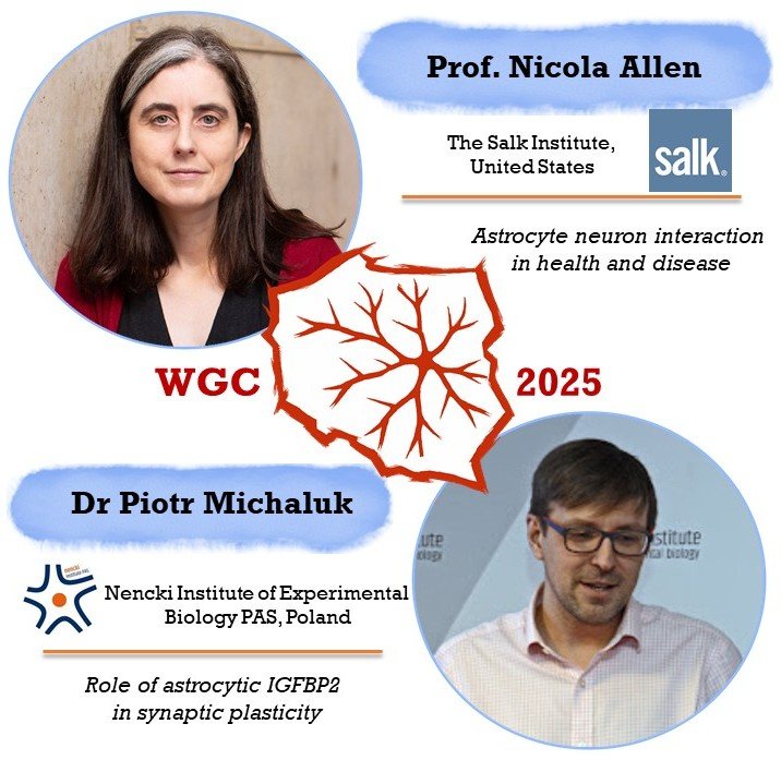 Astrocytes close out the final session! 🧠 Prof. Allen on how they regulate synapses across life and disease, and Dr Michaluk on astrocytic IGFBP2 in synaptic plasticity 

sites.google.com/uw.edu.pl/wars…

#Neuro2025 #Astrocytes #GLIA #WGC