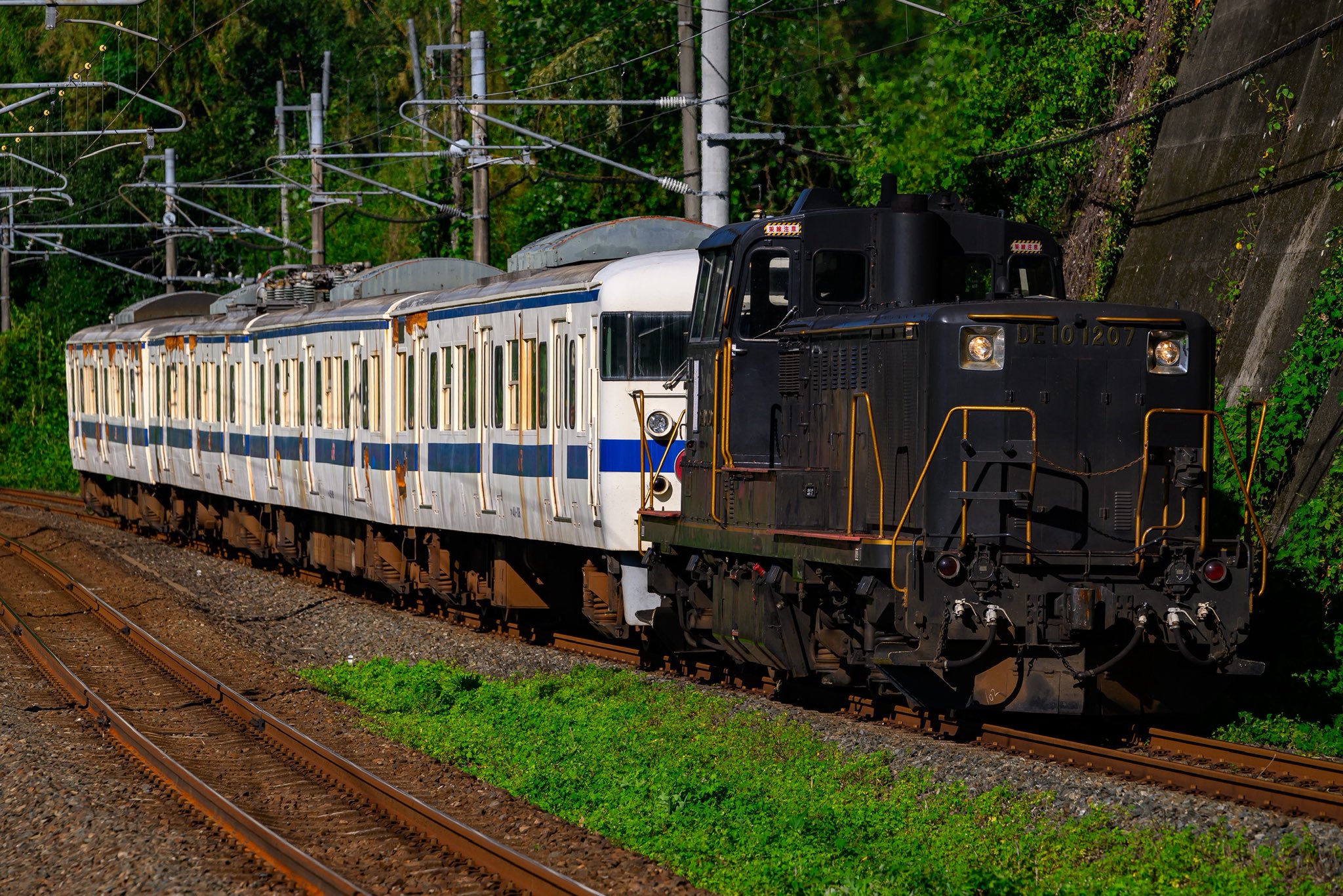 激レア　鹿児島鉄道発行　行幸啓奉送迎入場券の見本品 m25506766605_1.jpg?1728049527