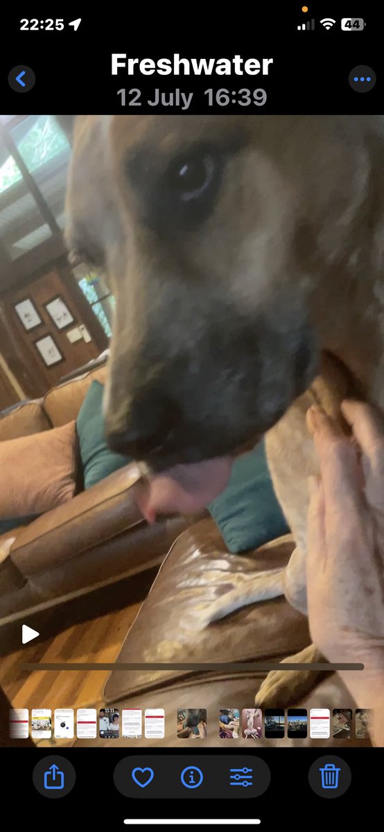 CathCath77's tweet image. Tongue out .#Tuesday #Mojo