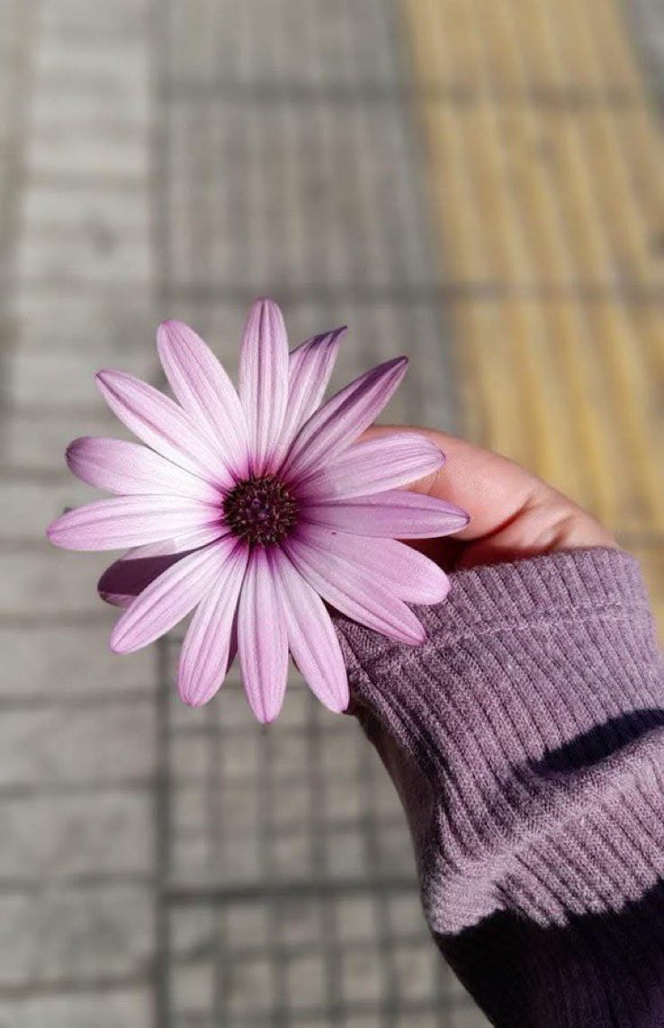 تصبحُ الأخلاقُ حِمْلاً ثقيلاً 
في حضْرَةِ مَن لم يسمعوا بها