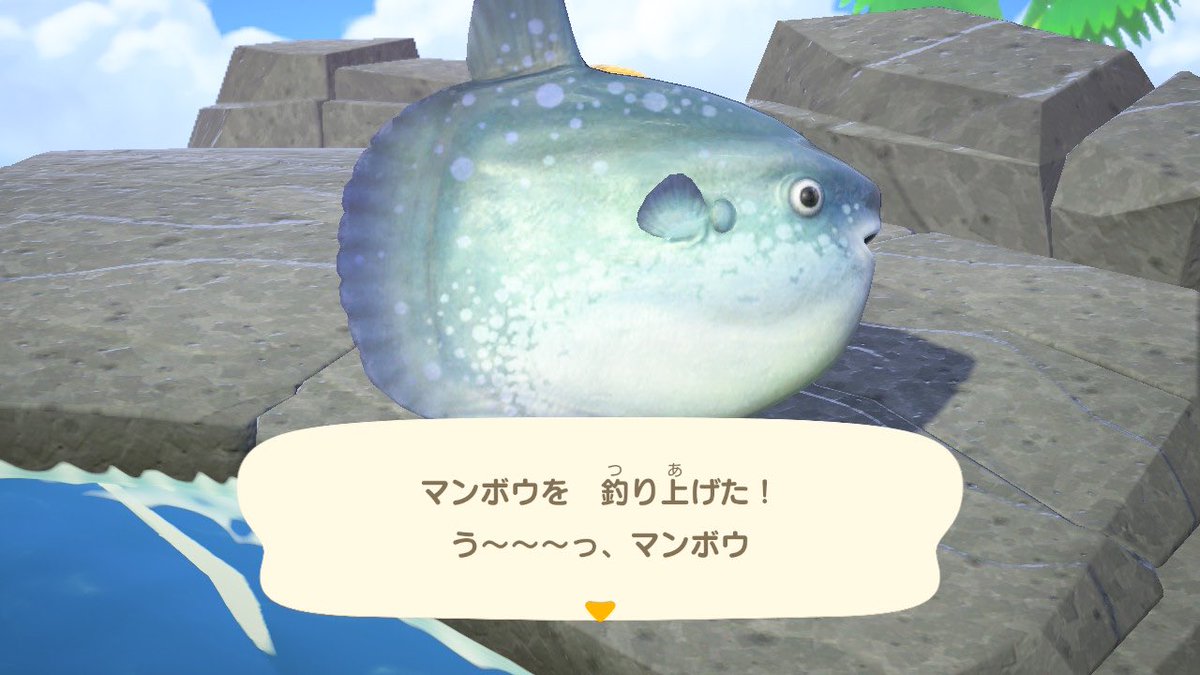 youchannlove's tweet image. #どうぶつの森
 #NintendoSwitch