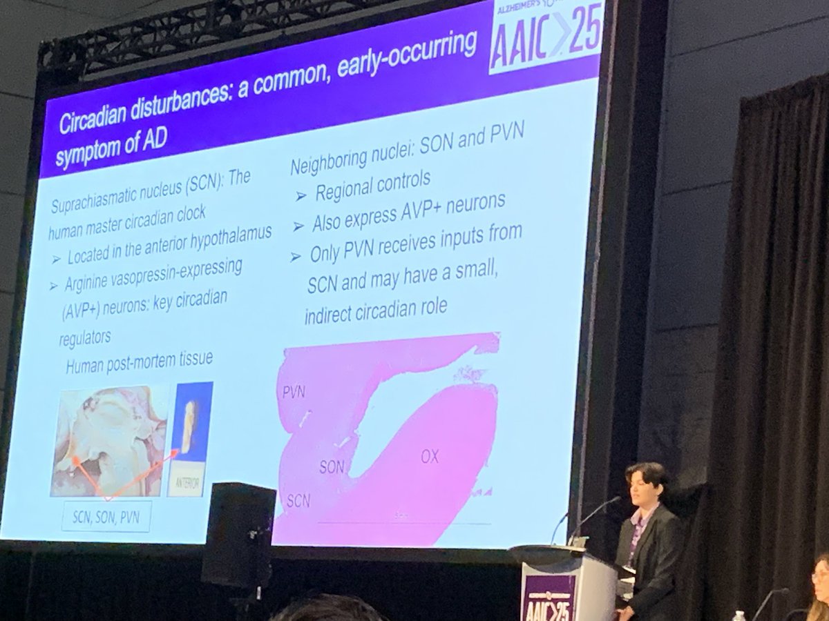 Congratulations Grace Judge from <a href="/grinberg_t/">Lea T. Grinberg, M.D, Ph.D</a> Lab on her #AAIC25 presentation on #neuropathology findings into potential sleep problems in #AlzheimersDisease <a href="/MayoClinic/">Mayo Clinic</a> <a href="/MayoClinicNeuro/">Mayo Clinic Neuro</a> A critical problem that affects both our patients and caregivers.