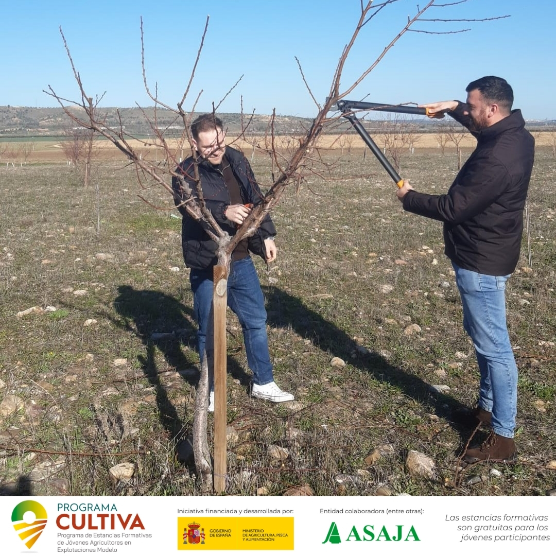 AsajaToledo's tweet image. 📢Descubre qué está pasando este año en el #ProgramaCULTIVA: experiencias, aprendizaje entre profesionales. 📷@CasasdeHualdo, finca  en📷  gracias al #ProgramaCultiva (#FormaciónGratuita) @gobmapa 
👓 asaja.com/programa-culti…
👓 mapa.gob.es/va/desarrollo-…