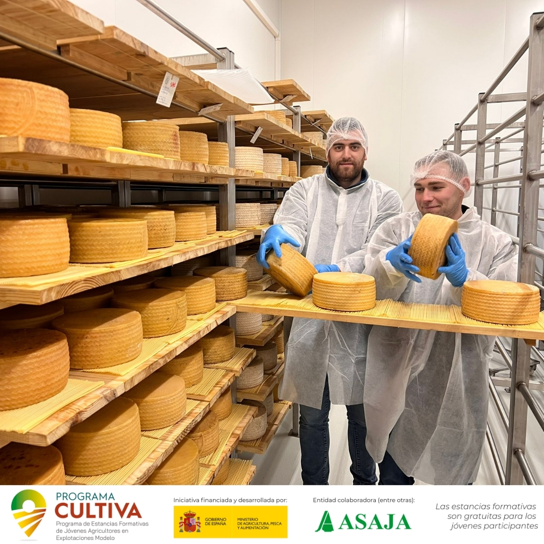 AsajaToledo's tweet image. 📢Descubre qué está pasando este año en el #ProgramaCULTIVA: experiencias, aprendizaje entre profesionales. 📷@CasasdeHualdo, finca  en📷  gracias al #ProgramaCultiva (#FormaciónGratuita) @gobmapa 
👓 asaja.com/programa-culti…
👓 mapa.gob.es/va/desarrollo-…