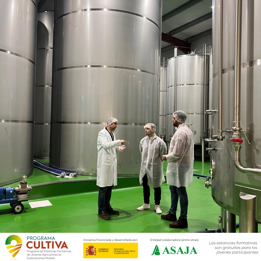 AsajaToledo's tweet image. 📢Descubre qué está pasando este año en el #ProgramaCULTIVA: experiencias, aprendizaje entre profesionales. 📷@CasasdeHualdo, finca  en📷  gracias al #ProgramaCultiva (#FormaciónGratuita) @gobmapa 
👓 asaja.com/programa-culti…
👓 mapa.gob.es/va/desarrollo-…