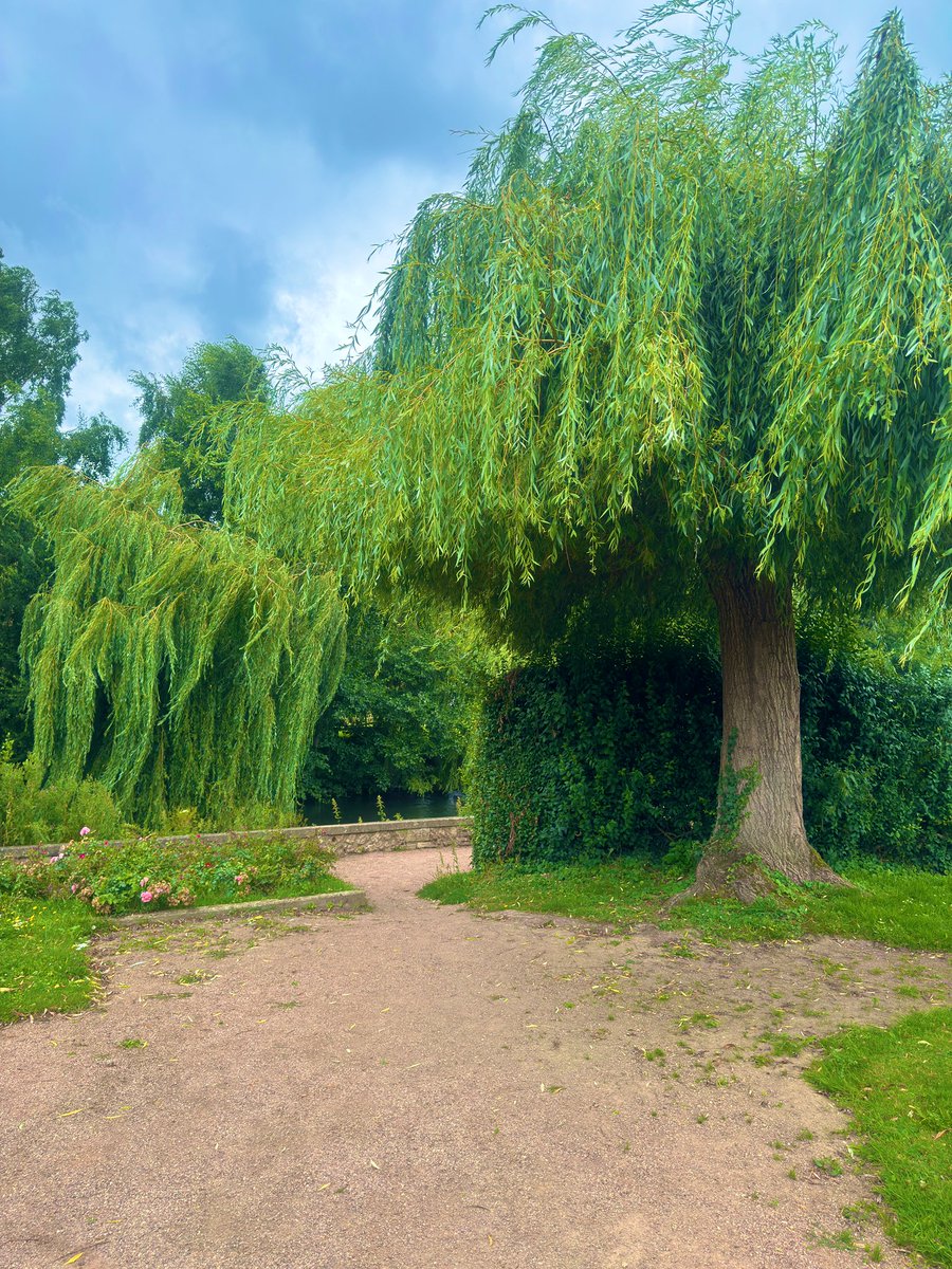 jorge pirès (@piresjorge5) on Twitter photo 