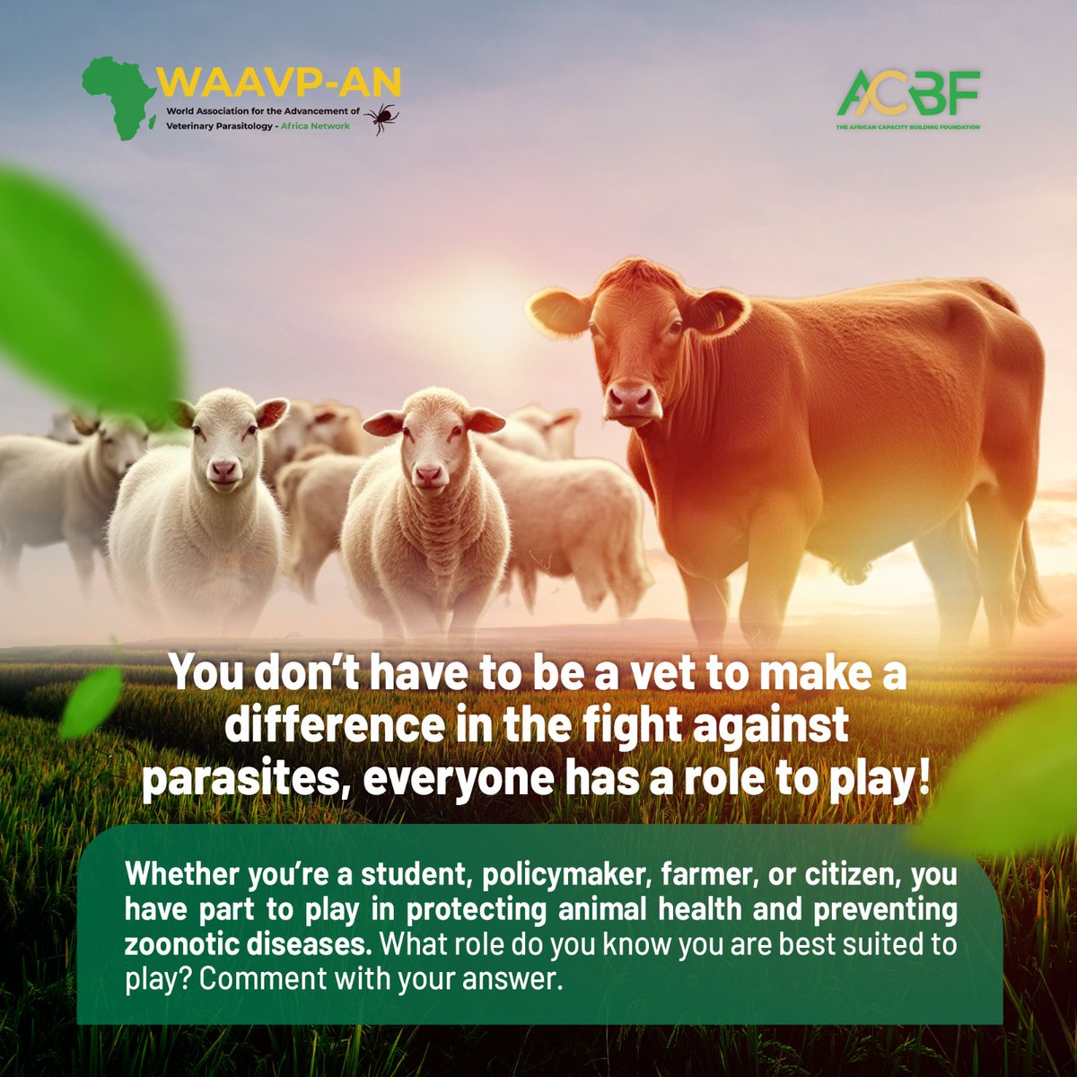 You don’t have to be a vet to make a difference in the fight against parasites, everyone has a role to play!

Join the WAAVP-AN Community of Practice for more engagements: waavpafrica.org/cop/

#VeterinaryParasitology #FoodSecurity #OneHealth #AnimalHealth #WAAVPAN #Zoonoses