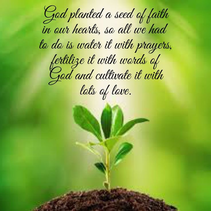 Riley Swanson III (@_coachswanson) on Twitter photo Thank you God! Your will! Your process!
Your way! Your glory! My Faith! Your back! Your feet! Lead GOD! ๐ฃ๏ธ STEPโผ๏ธ
โฐ โ๏ธโณ to TRUST THE PROCESS โผ๏ธ๐ฅ๐ฅ๐ฅ๐ฅ๐คบ๐น๐๏ธ๐๐งจ๐ฃ๐๏ธ๐ฅ
S-Study
T-Train
R-Respond
I-Improve
K-Know
E-Effort
๐ฃ๏ธ GOD YOU PLACED US HERE ๐ LETโS STRIKE ๐ฅ๐๐พโผ๏ธ ๐ Thank you God! Your will! Your process!
Your way! Your glory! My Faith! Your back! Your feet! Lead GOD! ๐ฃ๏ธ STEPโผ๏ธ
โฐ โ๏ธโณ to TRUST THE PROCESS โผ๏ธ๐ฅ๐ฅ๐ฅ๐ฅ๐คบ๐น๐๏ธ๐๐งจ๐ฃ๐๏ธ๐ฅ
S-Study
T-Train
R-Respond
I-Improve
K-Know
E-Effort
๐ฃ๏ธ GOD YOU PLACED US HERE ๐ LETโS STRIKE ๐ฅ๐๐พโผ๏ธ ๐