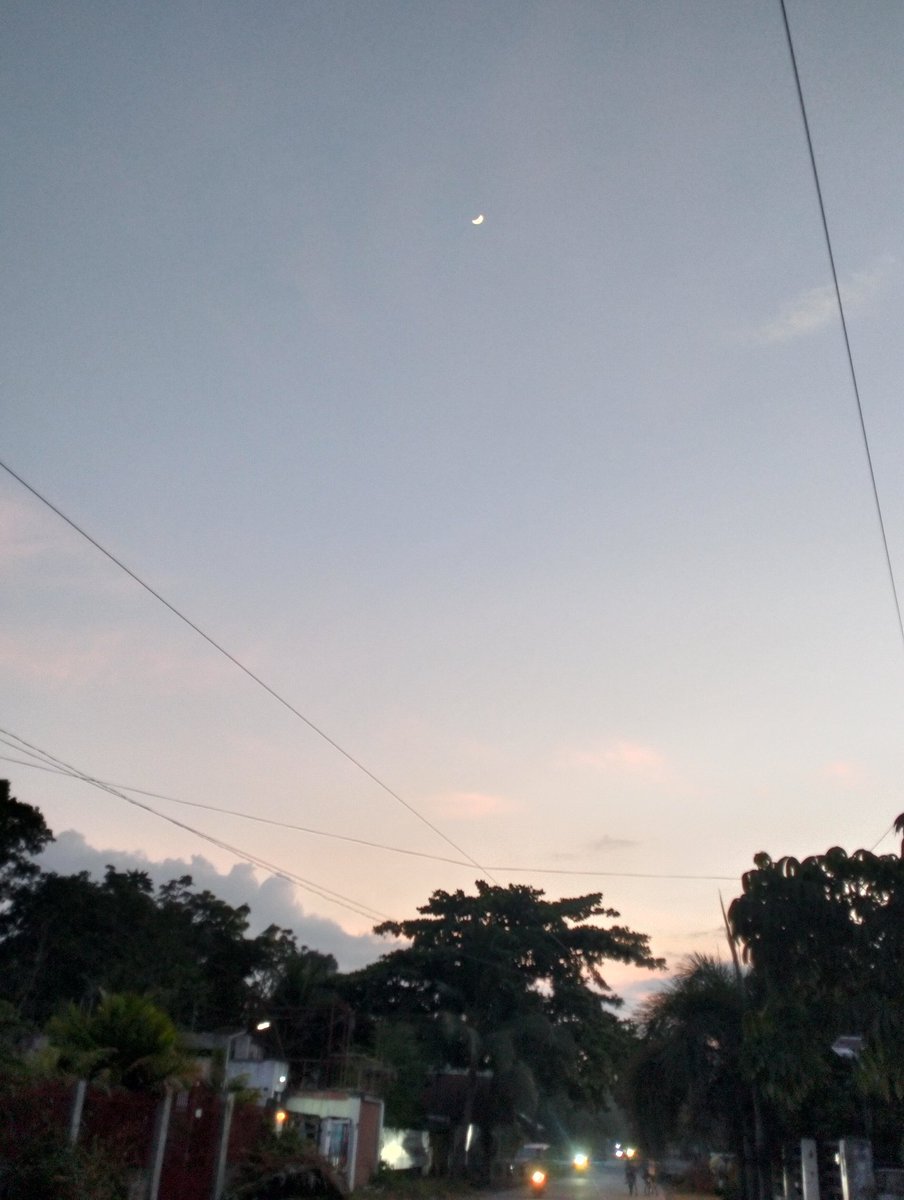 mdfblemo's tweet photo. Always in awe of your glow, Luna—so distant, yet you feel so close. https://t.co/WIUvQdFzrL
