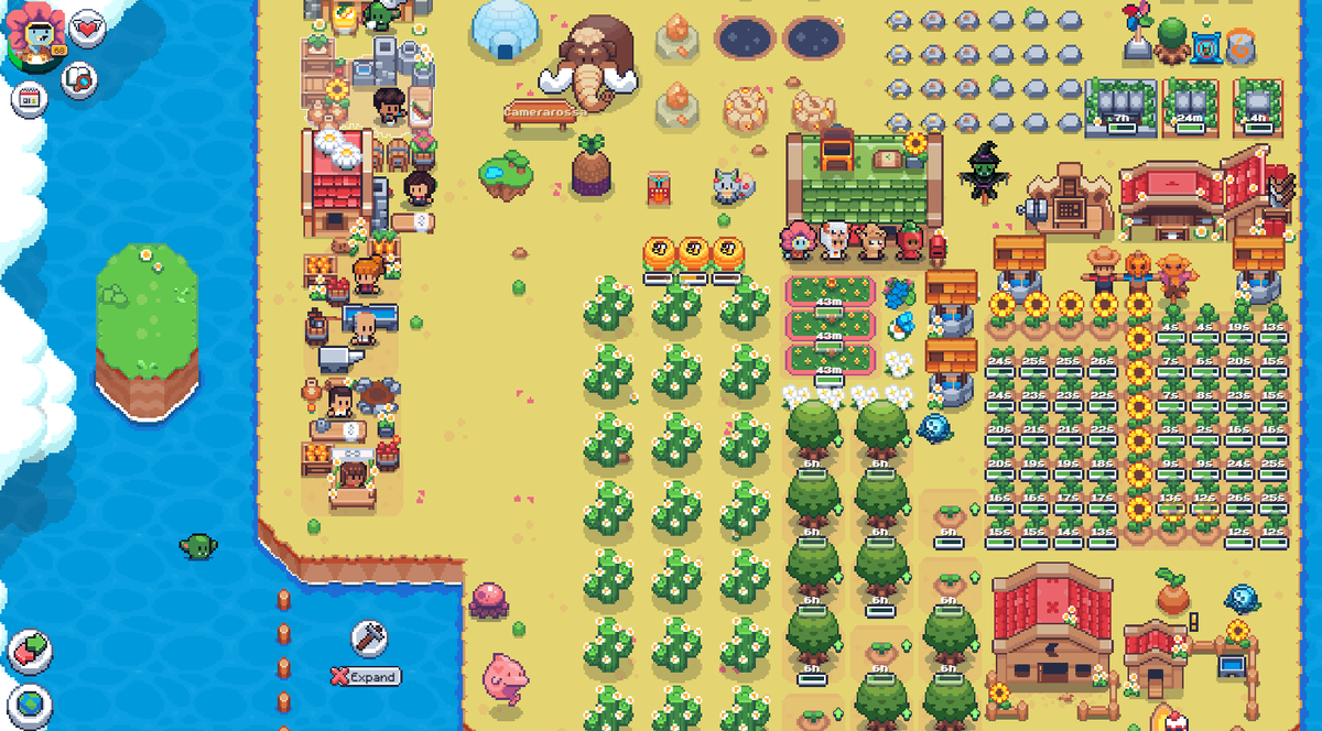 bearzot's tweet photo. #SunflowerLandFarm https://t.co/xfhzqKUznl