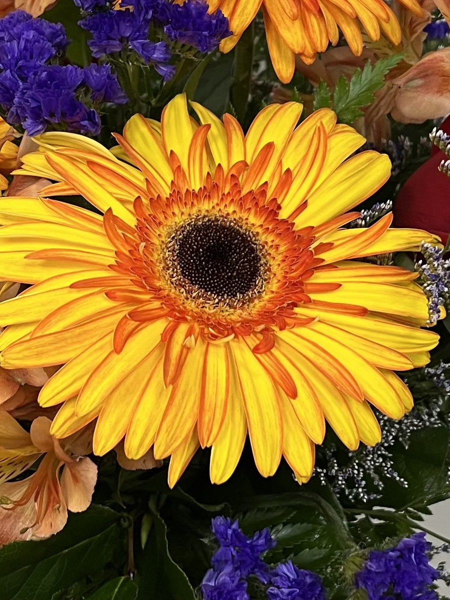 Happy Tuesday!
