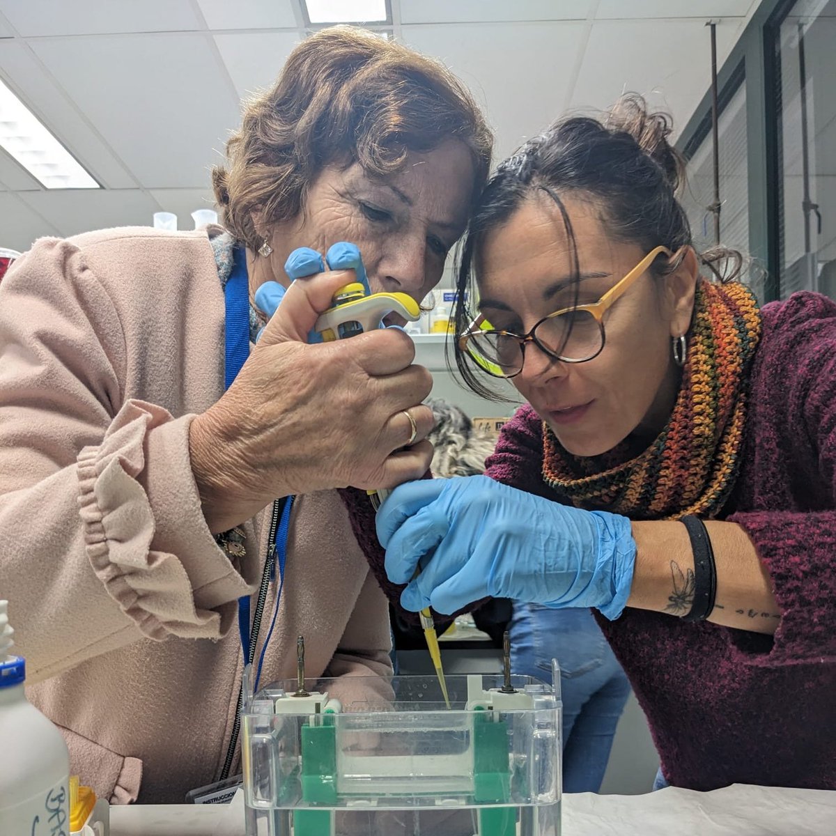 Cibersur (@cibersur) on Twitter photo El proyecto ‘Incluyendo en #Ciencia’ acerca el conocimiento científico a colectivos vulnerables con notable éxito
‘Incluyendo en Ciencia es una iniciativa desarrollada por el <a href="/CABD_UPO_CSIC/">Centro Andaluz de Biología del Desarrollo</a> que ha contado con la colaboración de <a href="/FECYT_Ciencia/">FECYT</a>
cibersur.com/cibersur/impe/… El proyecto ‘Incluyendo en #Ciencia’ acerca el conocimiento científico a colectivos vulnerables con notable éxito
‘Incluyendo en Ciencia es una iniciativa desarrollada por el <a href="/CABD_UPO_CSIC/">Centro Andaluz de Biología del Desarrollo</a> que ha contado con la colaboración de <a href="/FECYT_Ciencia/">FECYT</a>
cibersur.com/cibersur/impe/…