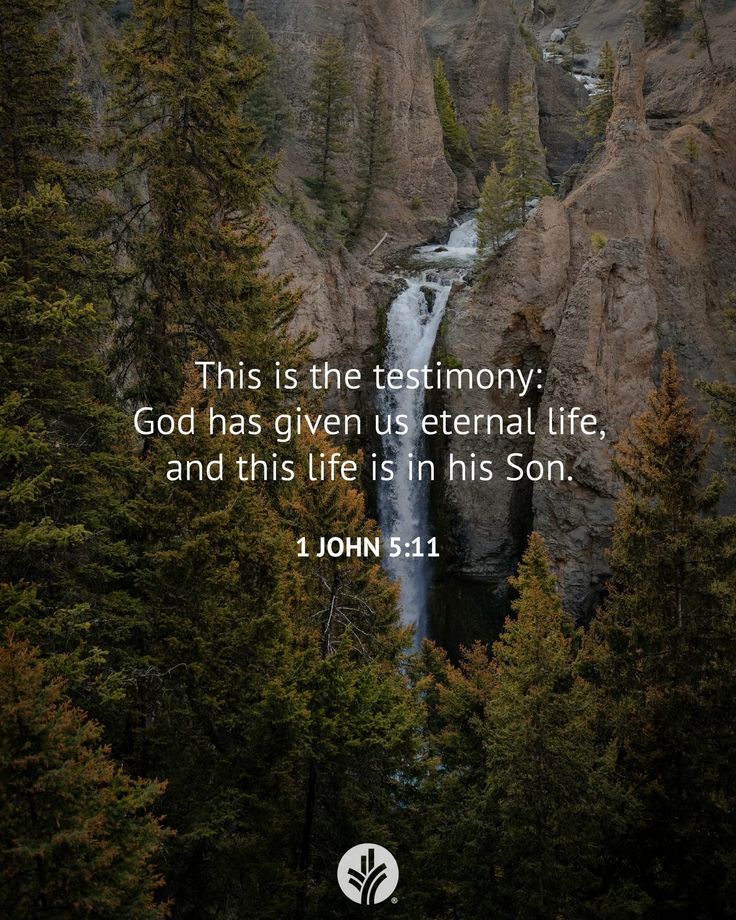 Have A Blessed Tuesday Everyone!
#JesusChristSaves