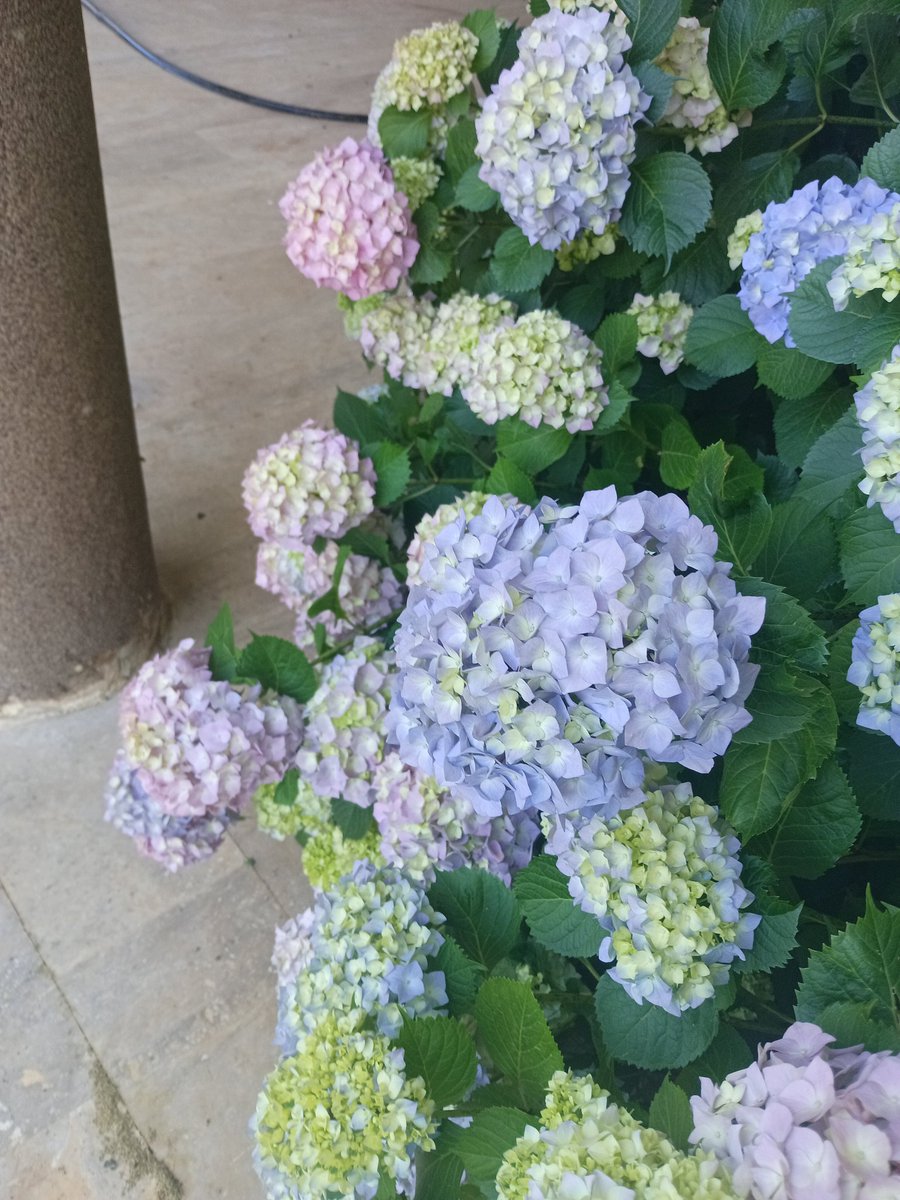 Kötü olmayı sevmiyorum dedim..
Kötü olmayı bilmiyorum demedim!!
🦂🦂