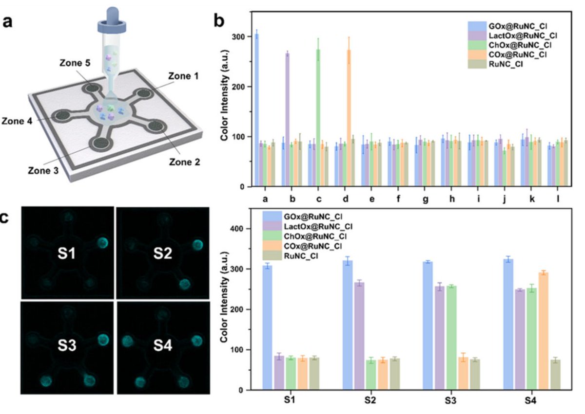 🚨 KAIST’s new ruthenium nanozyme boosts diagnostic selectivity by 38x! 🧪
✅ Detects glucose, lactate, cholesterol &amp; choline
⏱️ Results in just 3 minutes
🧻 Paper-based, no instruments needed
A game-changer for rapid, accessible diagnostics! 🔬
#KAIST #Nanozyme #POCT #Biotech