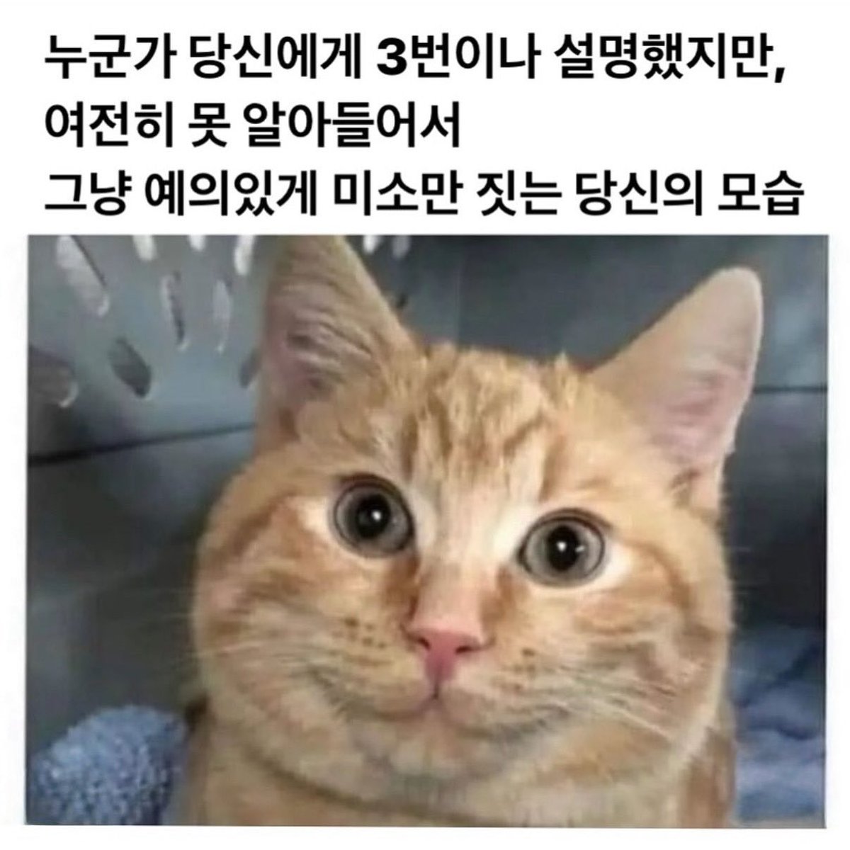Sotraw_PLLI's tweet image. 아 또 인질 잡힌거야,,,?