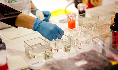 El Biobanco andaluz provee de más de 10.200 muestras a la comunidad científica para la investigación en salud

Se han destinado a proyectos de investigación y ensayos clínicos en cáncer, enfermedades endocrinas y del músculo esquelético

cibersur.com/cibersur/impe/…