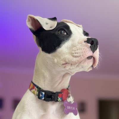 #NuevaFotoDePerfil