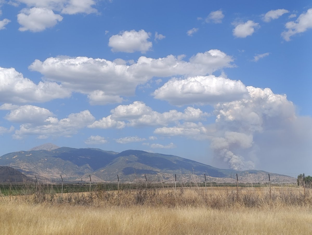 Η φωτιά στην Αγιά Λάρισας δείχνει να ξεφεύγει...