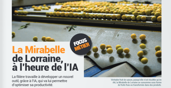 A lire dans RIA ! 
"Culture ancestrale en Lorraine, la filière mirabelles s’intéresse à l'#IA. Objectif: créer des outils d’estimations quantitatives et qualitatives de la récolte. Ensuite, cela permettra à la coopérative Végafruits d’orienter les fruits selon les débouchés"