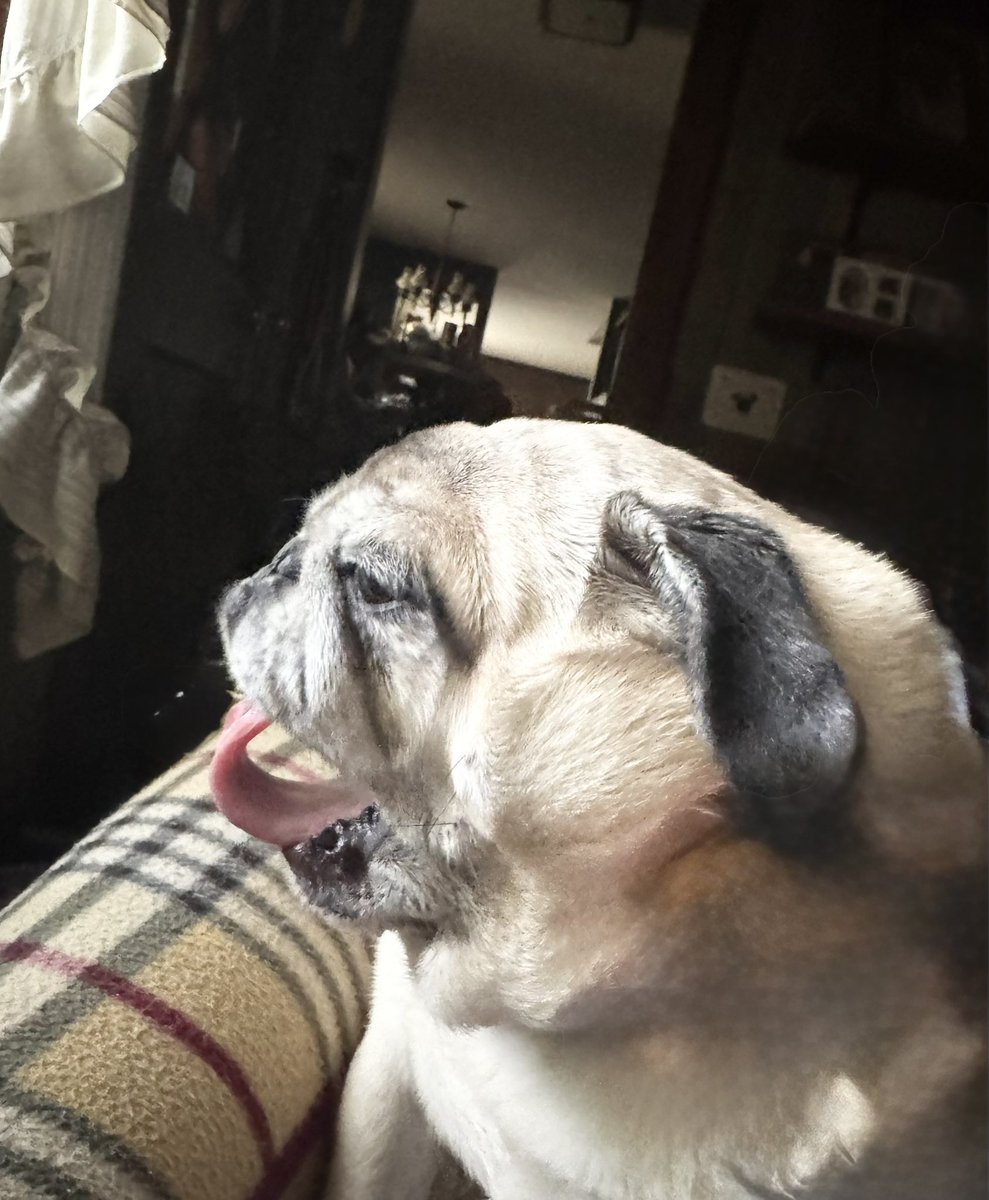 Happy #TongueOutTuesday!!❤️