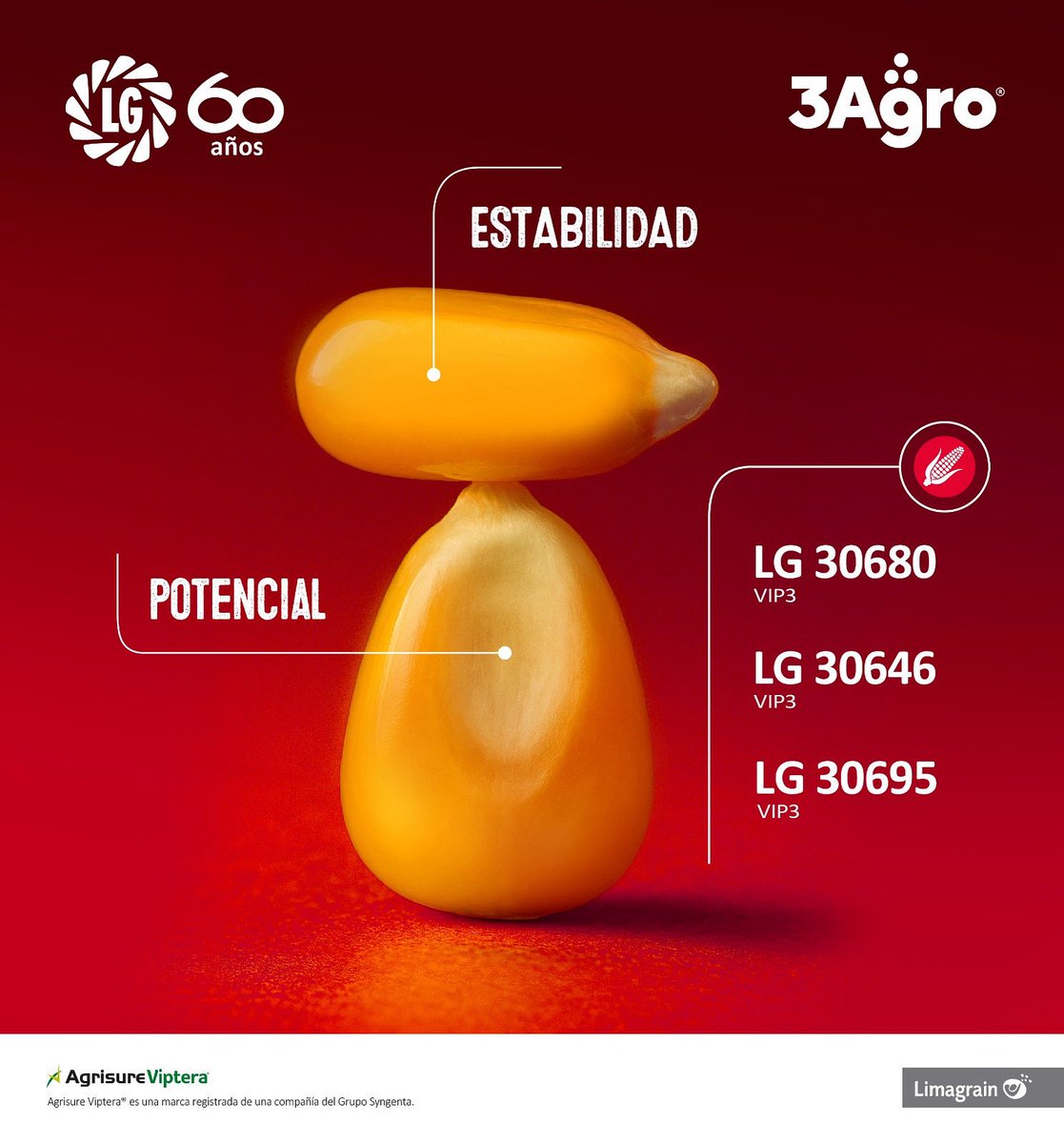 🌽Estabilidad y potencial⤵️
✔️𝗟𝗚 𝟯𝟬𝟲𝟴𝟬 𝗩𝗜𝗣𝟯
✔️𝗟𝗚 𝟯𝟬𝟲𝟰𝟲 𝗩𝗜𝗣𝟯
✔️𝗟𝗚 𝟯𝟬𝟲𝟵𝟱 𝗩𝗜𝗣𝟯

<a href="/lgsemillas/">LG SEMILLAS 🌽🌻🌾🌱</a> 
#3agro