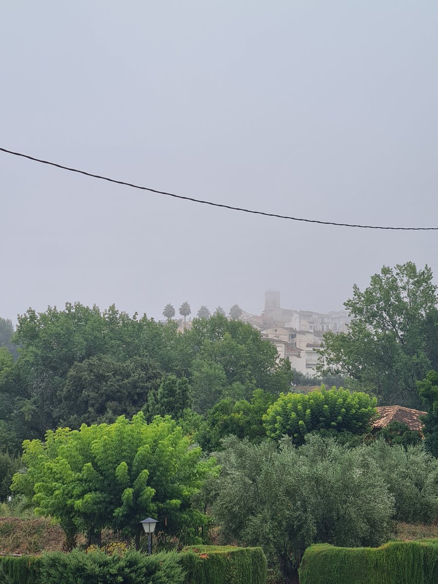 Javi Miró (@javiermiroo) on Twitter photo A Agres fresca, humitat i el sòl banyat.
Tot l'estiu així, per favor. A Agres fresca, humitat i el sòl banyat.
Tot l'estiu així, per favor.